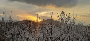 انرژی اتمی اصفهان