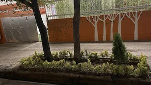مهدکودک و پیش دبستانی رویش نهال