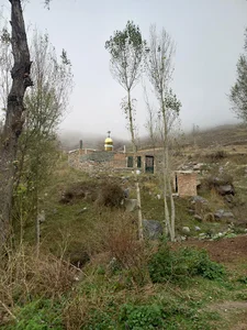 امام زاده پیغام