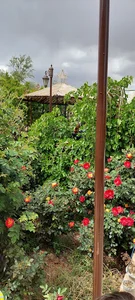 اقامتگاه خانه باغ کیمیا