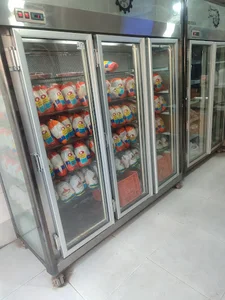 پروتیین امید مرغ زنده