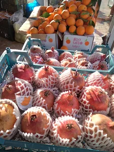 میوه سرای بهشت