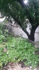 دهکده پزشکان یلدا