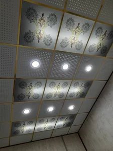 تولید سقف کاذب گچی و PVC در اکباتان 3