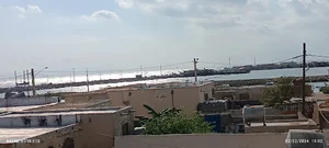هلیله