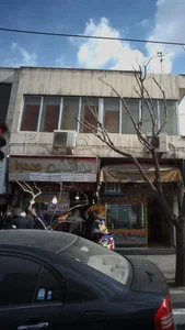 پروتئین صدر 3