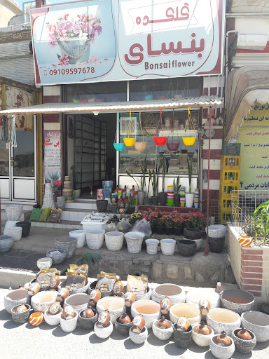 گلکده بونسای