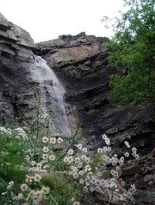 رستوران آدینه