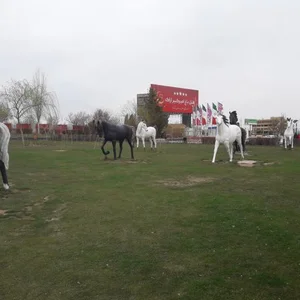 بوستان فروردین 3