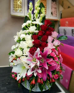 گل ساسان