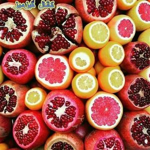 میدان میوه و تره بار شهید غیبی