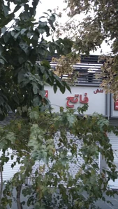 کفش فاتح 2