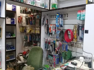 الکترونیک حسینی