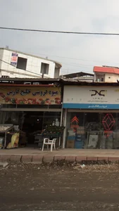 میوه فروشی خلیج فارس 3
