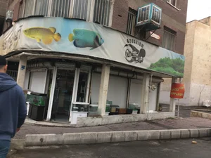 آکواریوم روزبه