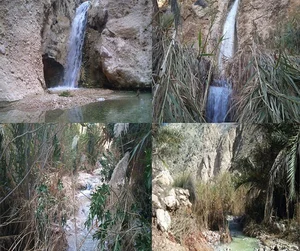 برقکاری ساختمان(قشقائی نژاد)