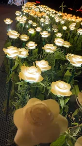 باغ گل رز