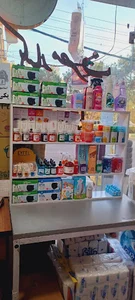 شوینده بهداشتی و یکبارمصرف افرا
