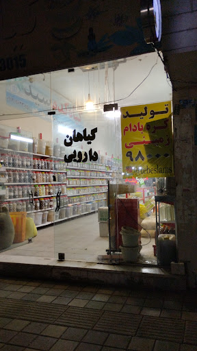 گیاهکده سید
