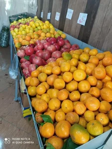 میوه فروشی چهار فصل 2