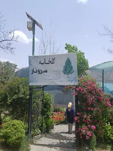 گلخانه سروناز 4