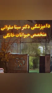 کلینیک دامپزشکی و پت شاپ دکتر سینا صلواتی