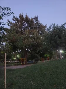 بوستان ارم 2