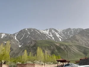 یام کندی