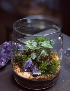 گالری گل لوسیان