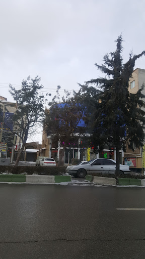 نمایندگی فرش،پاتریس،ابریشم،وزرا،مدیریت بابک حیدرنژاد