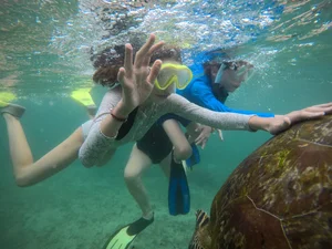 Book Now - Kamburugamuwa Blue Whale Watching & Turtle Snorkeling