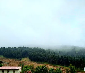 دانشگاه گلستان