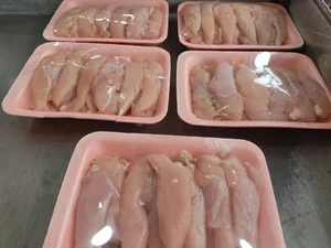 مرغ و ماهی موسوی 2