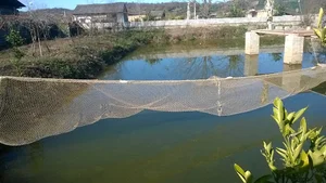 پرورش ماهی حسین پور
