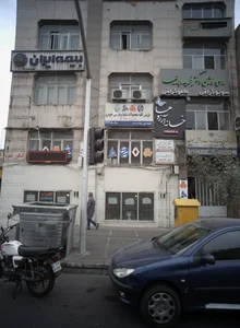 دکتر امیر لطفی نیای الیزئی 2