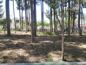 پارک شهرداری
