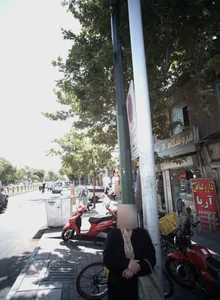 داروگیاهی آریا
