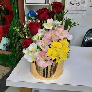 گلسرای رزلند.شوشتر