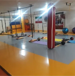 باشگاه ورزشی آرتمیس