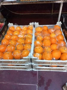 میوه فروشی شمیم 3