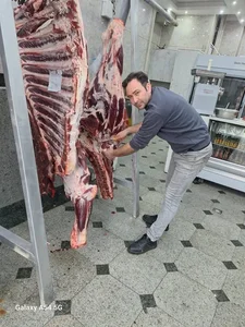 گوشت و پروتئین عرفان 4