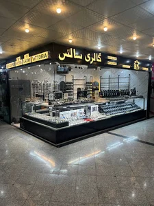 گالری نقره سالس (سرلک)