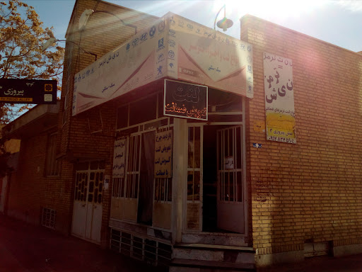 نیش ترمز