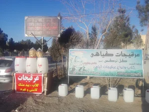 عرقیجات گل نرگس(عج)
