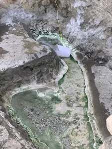 زاغ چشمه