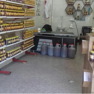 جهان عسل