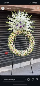 گل الینا 4