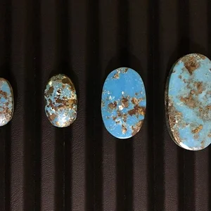 فیروزه اخوی زاده