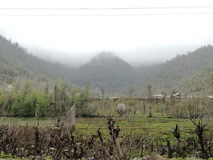 باغ رستوران والیوه