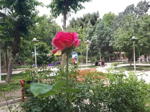پارک کودک 5